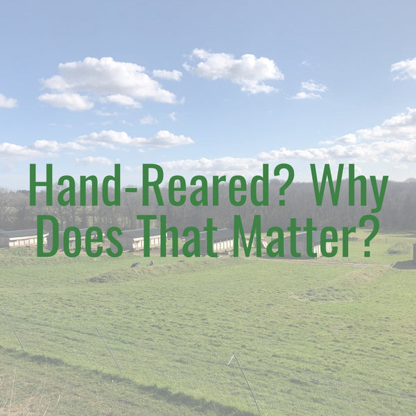 Why Outdoor Reared Meat Makes a Difference | Nelly’s Farm