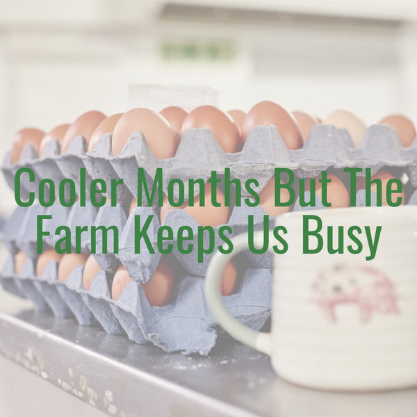 Autumn on the Farm: Field & Fork | Nelly’s Farm
