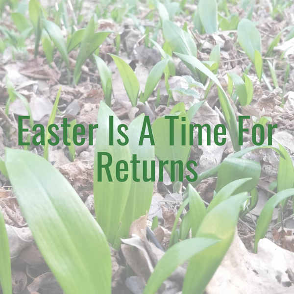 Wild Garlic Sausage Rolls for Easter | Fresh Seasonal Farm Favourites UK